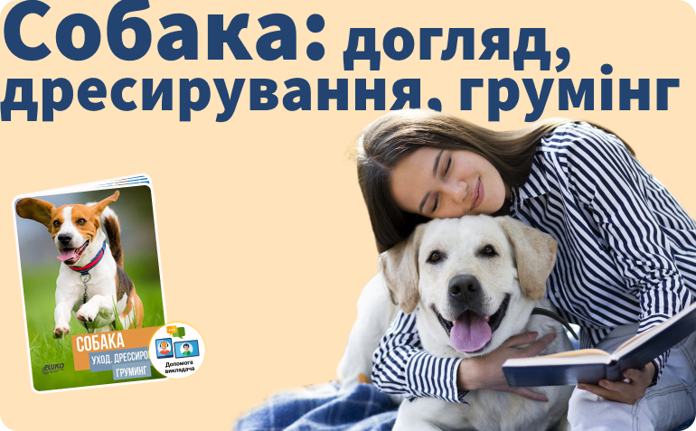 ������: ����, �����������, �������